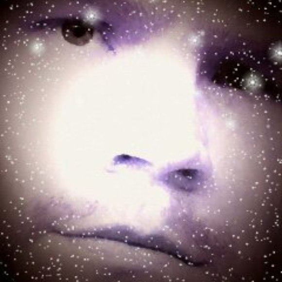 Meet your Posher, Chris - Picture 9 of 16